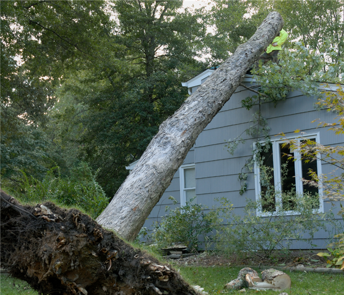 storm damage tree fallen on house